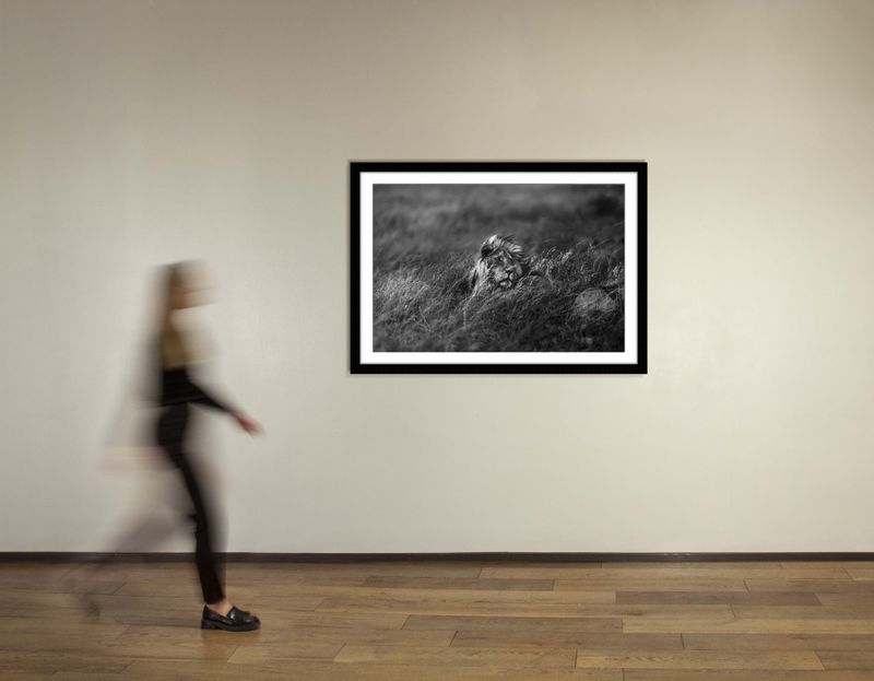 36 x 48 in., edition of 15